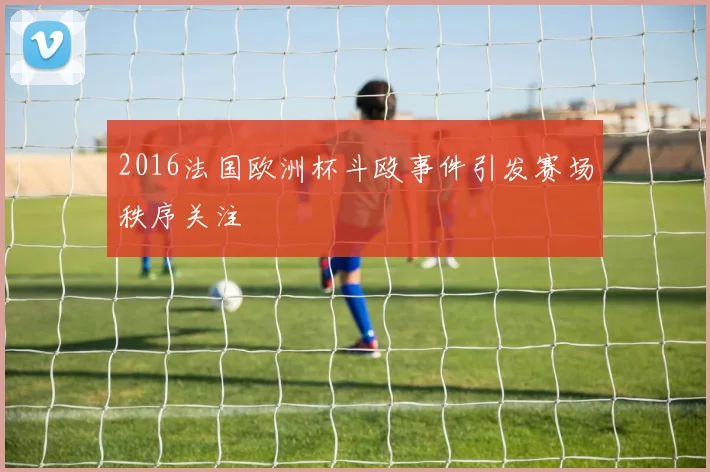 2016法国欧洲杯斗殴事件引发赛场秩序关注