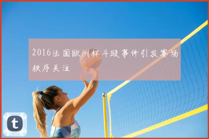 2016法国欧洲杯斗殴事件引发赛场秩序关注