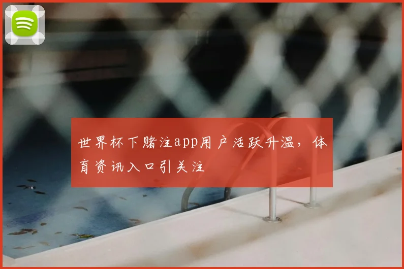 世界杯下赌注app用户活跃升温，体育资讯入口引关注