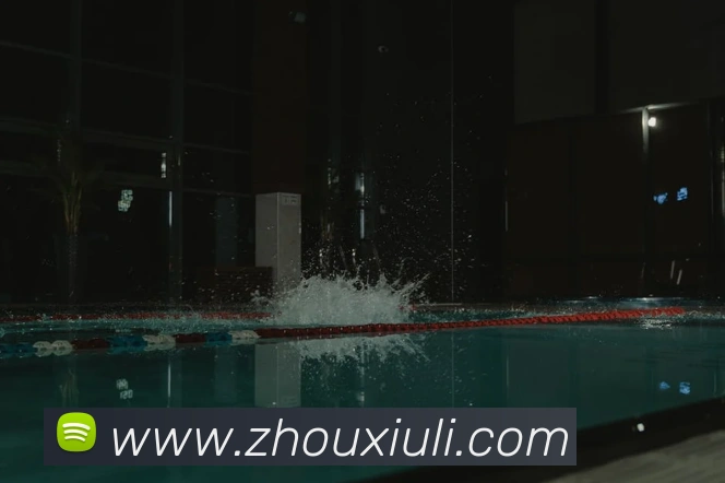 世界杯开户平台平台生态图